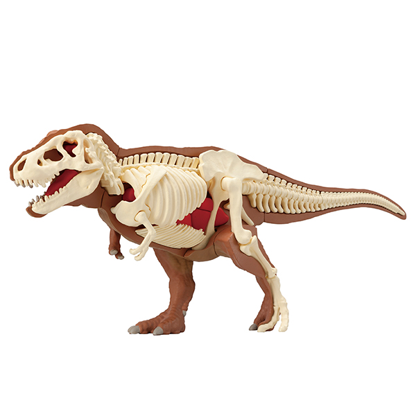 ティラノサウルス復元パズル