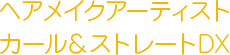 ヘアメイクアーティスト　カール＆ストレートDX