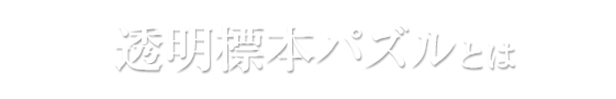 透明標本パズルとは