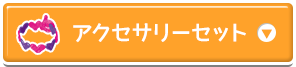 アクセサリーセット