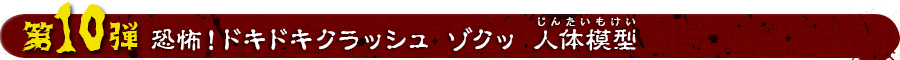 恐怖！ドキドキクラッシュ ゾクッ 人体模型