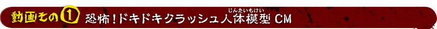 恐怖！ ドキドキクラッシュ 人体模型