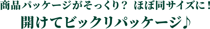 商品パッケージがそっくり？ ほぼ同サイズに！ 開けてビックリパッケージ♪