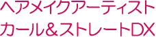 ヘアメイクアーティスト　カール＆ストレートDX
