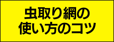 虫取り網の使い方のコツ