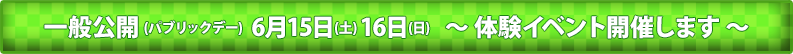 一般公開 (パブリックデー)   6月15日(土) 16日(日)   ～ 体験イベント開催します ～