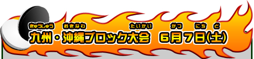 九州・沖縄ブロック大会 6月7日(土)