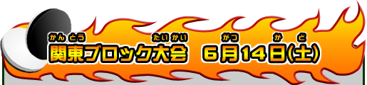 関東ブロック大会 6月14日(土)